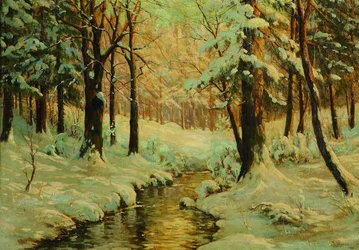 ハルツンのブロッケンの冬の森